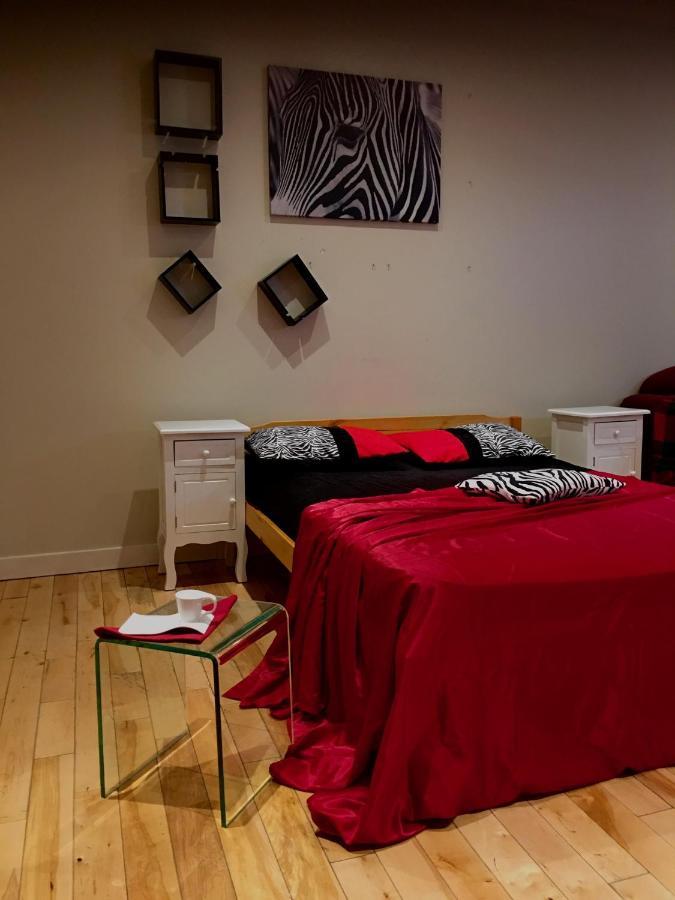 Modern Studio In Heart Of Osborne Village Winnipeg Zewnętrze zdjęcie